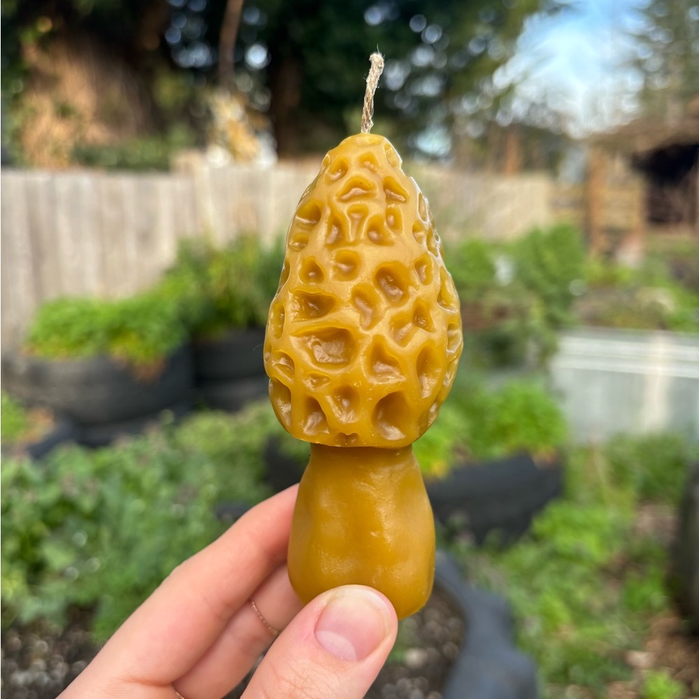 Homemade All-Natural Toxic Free 100% Beeswax Mushroom "Morel" Candle
